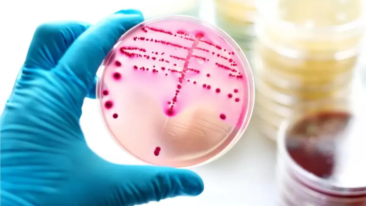 دراسة: زرع "البكتيريا الجيدة" في المنازل يعزز صحة الأطفال