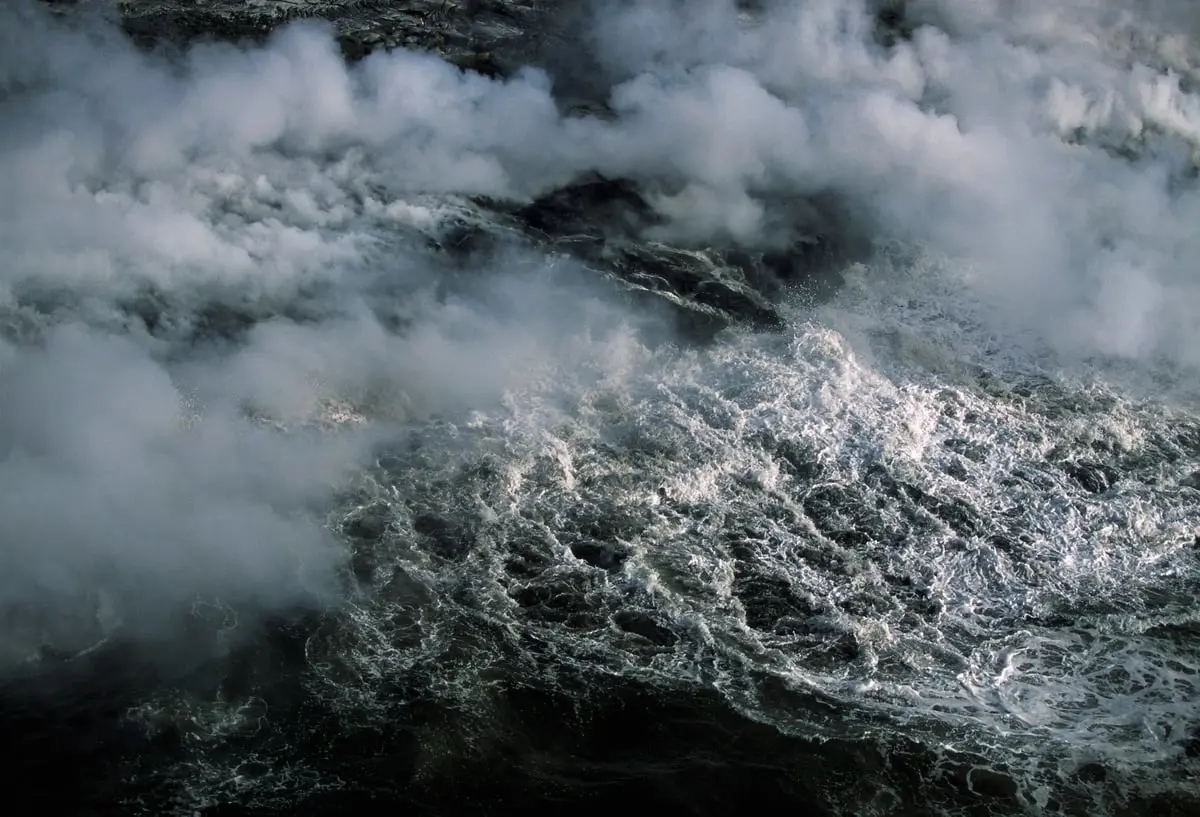 درجات الحرارة القياسية دمرت النظم البيئية في المحيطات