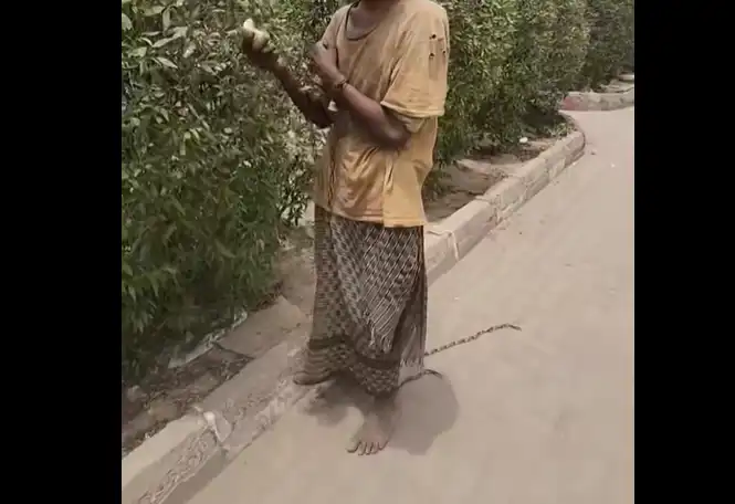 الشاب اليمني المكبل بالسلاسل