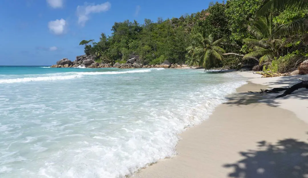 شاطئ Anse Georgette