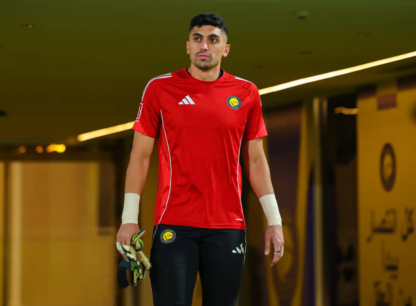 راغد النجار