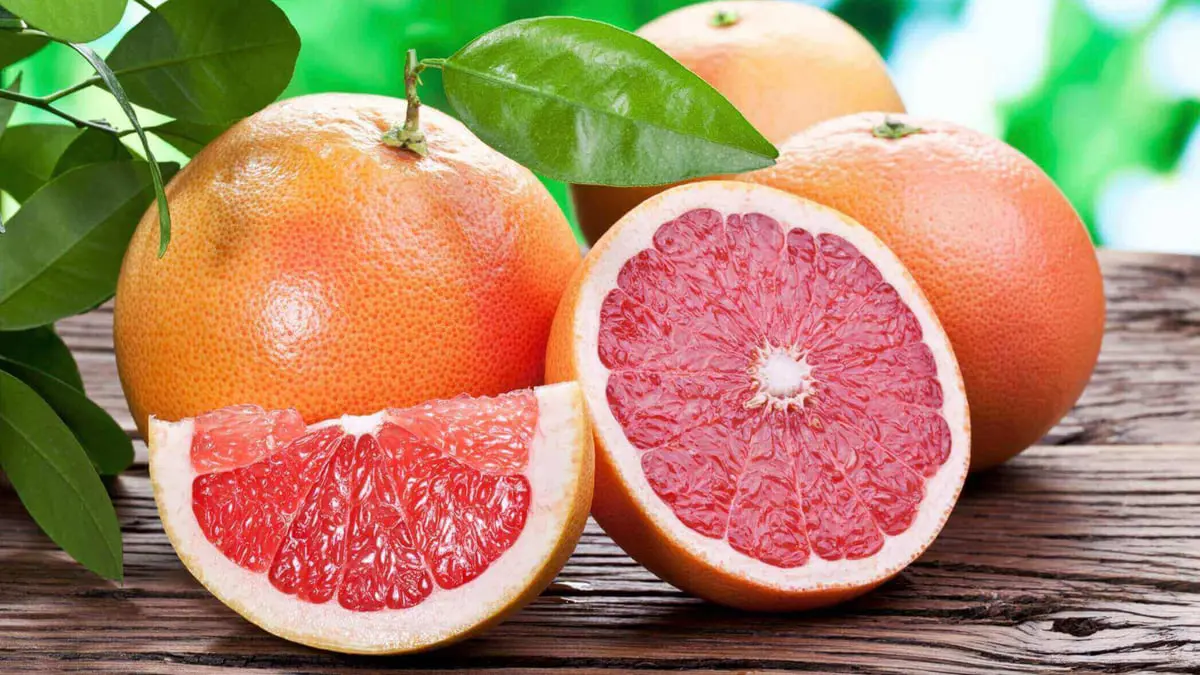 باحثون أمريكيون يكتشفون بديلا صحيا عن السكر من أشجار الحمضيات