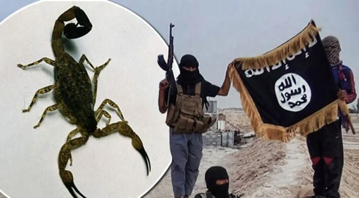 داعش يطلق قنابل "عقارب" لزرع الرعب في العراق
