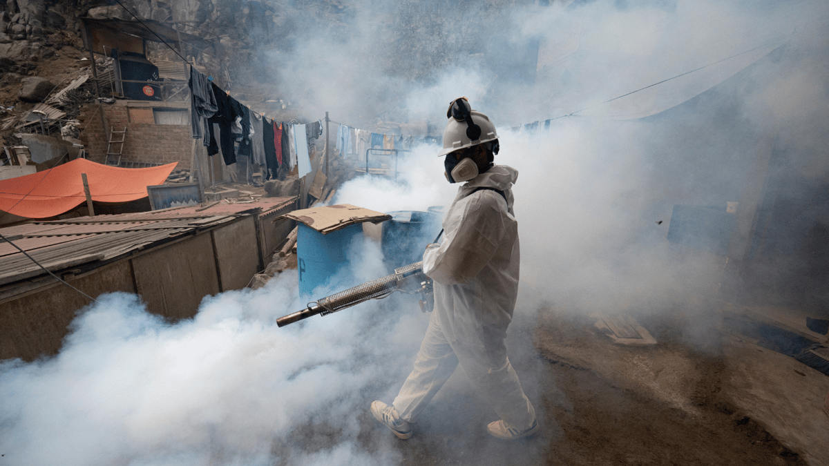 تقرير يحذر من ارتفاع حمى الضنك في أمريكا اللاتينية