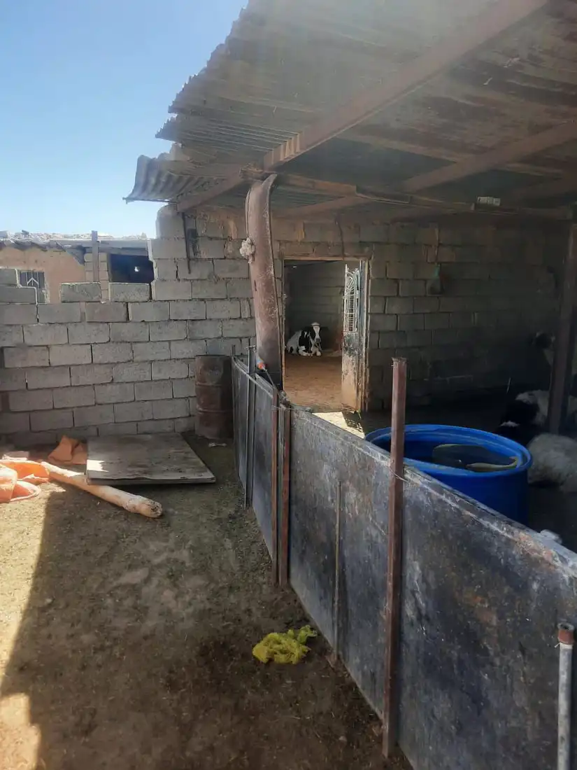 الحظيرة حيث وقعت الجريمة