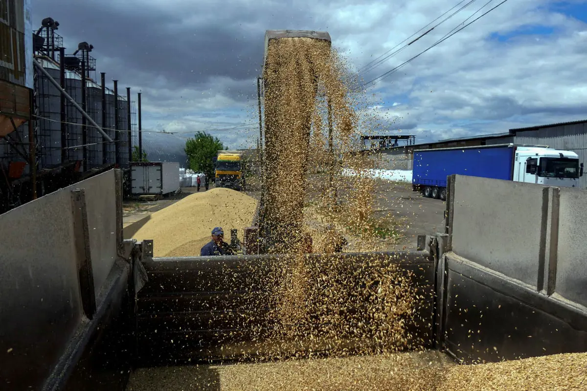صادرات الحبوب الأوكرانية تتراجع إلى أكثر من النصف في سبتمبر
