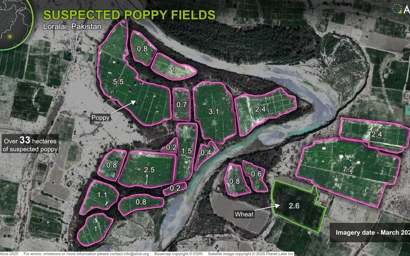 إنتاج الخشخاش في بلوشستان