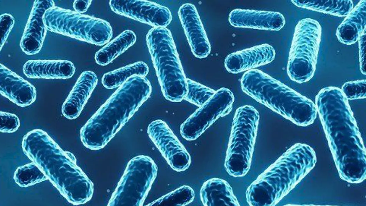 عقار جديد لمحاربة 300 نوع من البكتيريا المقاومة للمضادات الحيوية‎‎