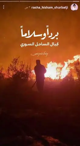تعليق رشا شربتجي على الحرائق