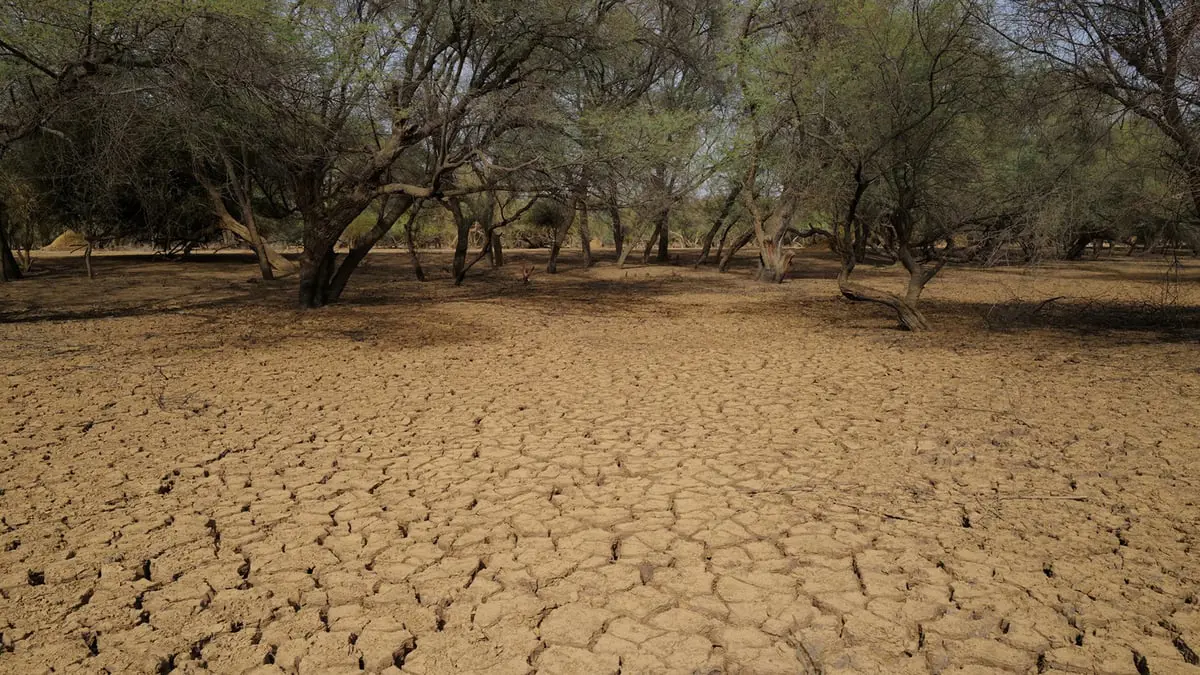 التنمية والمناخ... معارك الشرق الأوسط