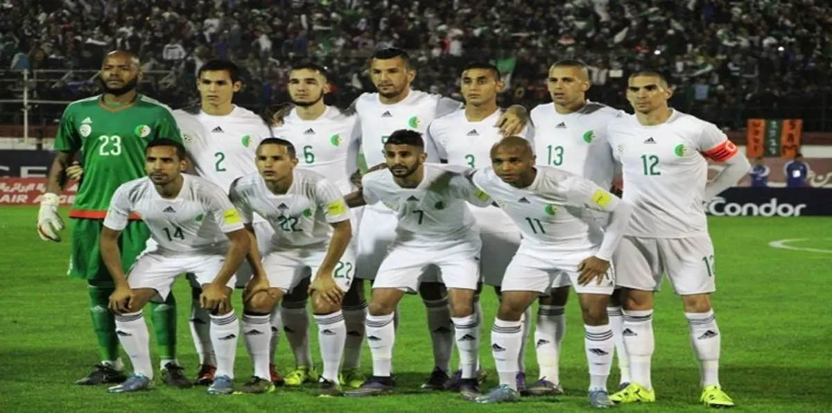 مدرب الجزائر يعتذر لفيغولي ومجاني