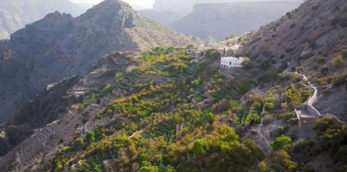 "الجبل الأخضر" في سلطنة عُمان يرى الجليد لأول مرة (صورة)