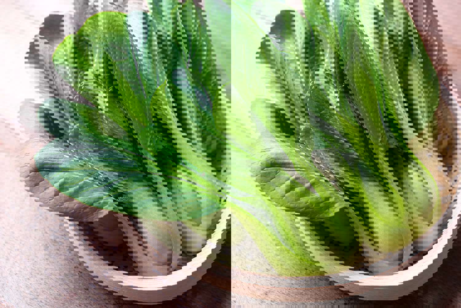 8606f821-dac4-4072-aa5d-81bd62d49785