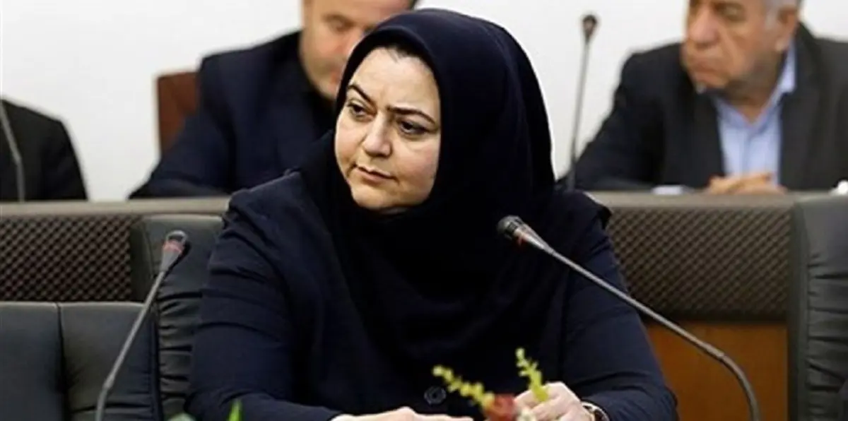 مديرة الطيران المدني الإيرانية: طيراننا ضعيف والعقوبات ستزيد المتاعب