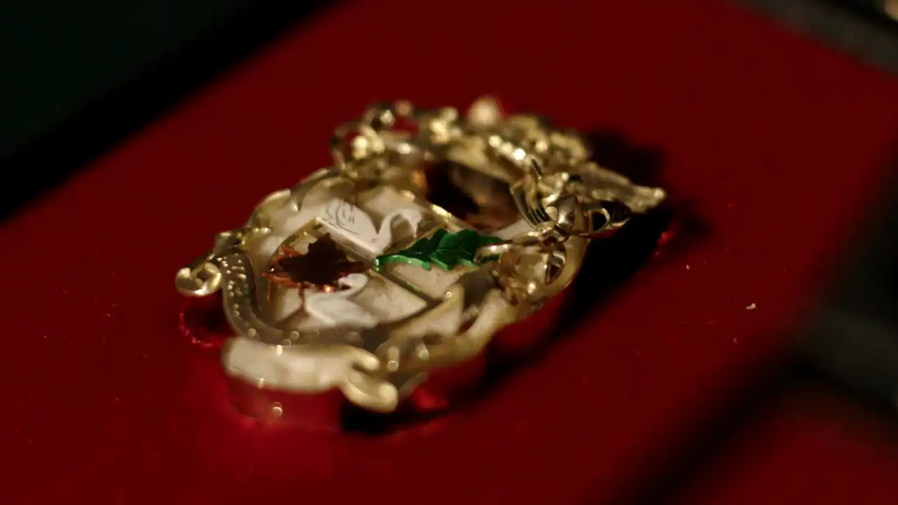 تحويل ركبة اليسرى إلتون جون إلى "بروش