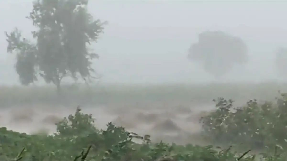 عاصفة قوية تضرب ولاية هاريانا شمالي الهند