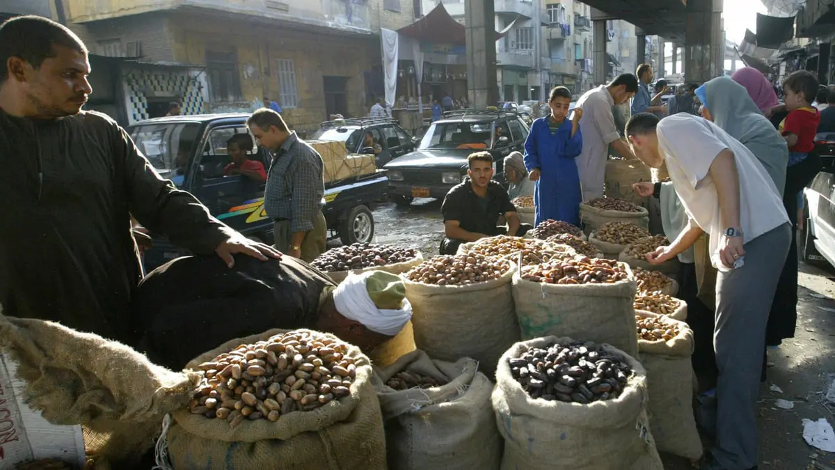 مصر.. حظر تصدير بعض المحاصيل الزراعية لتفادي غلاء الأسعار