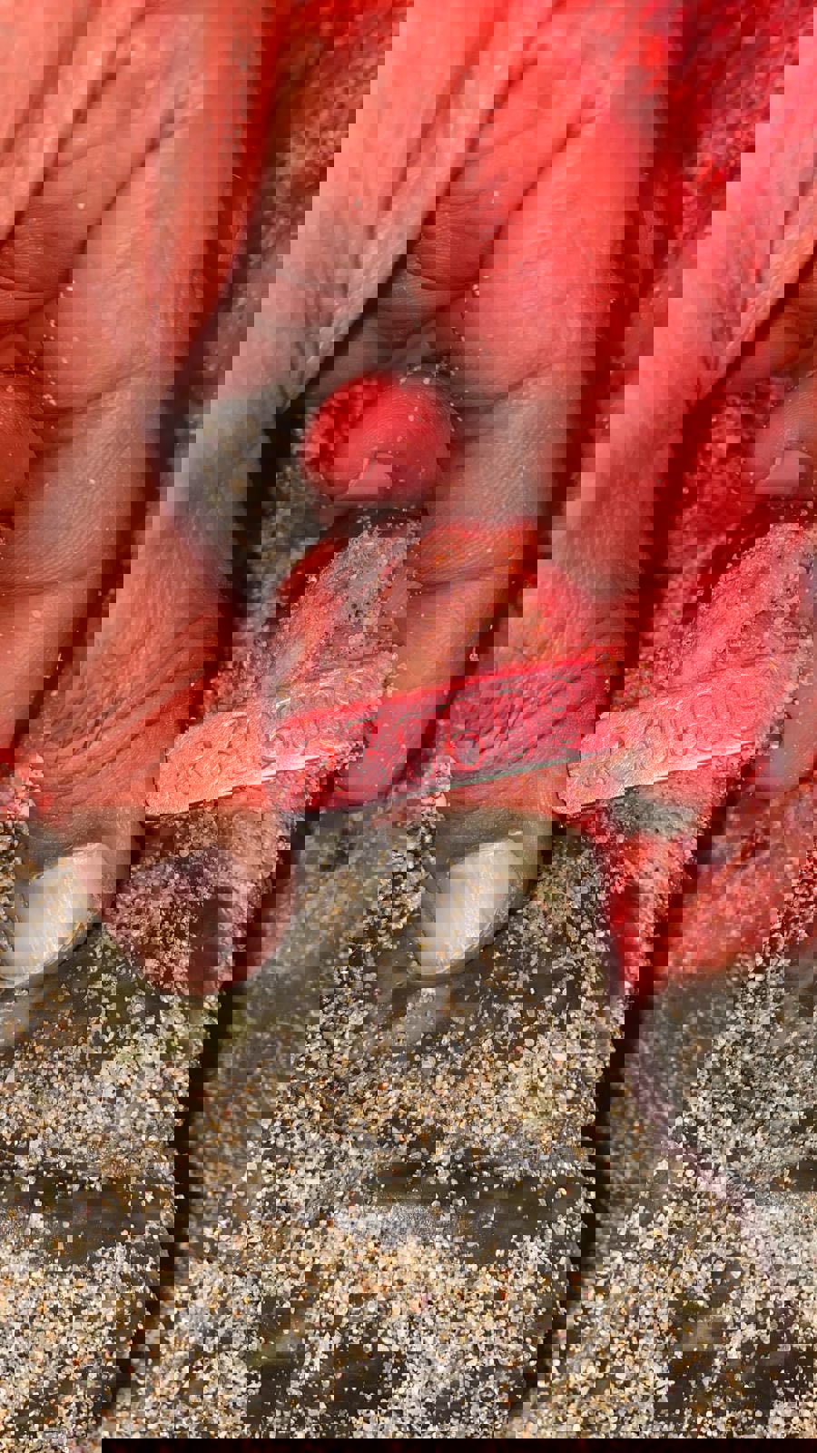 8e0625fc-eb0c-4ece-87bb-8cdb49e6788c