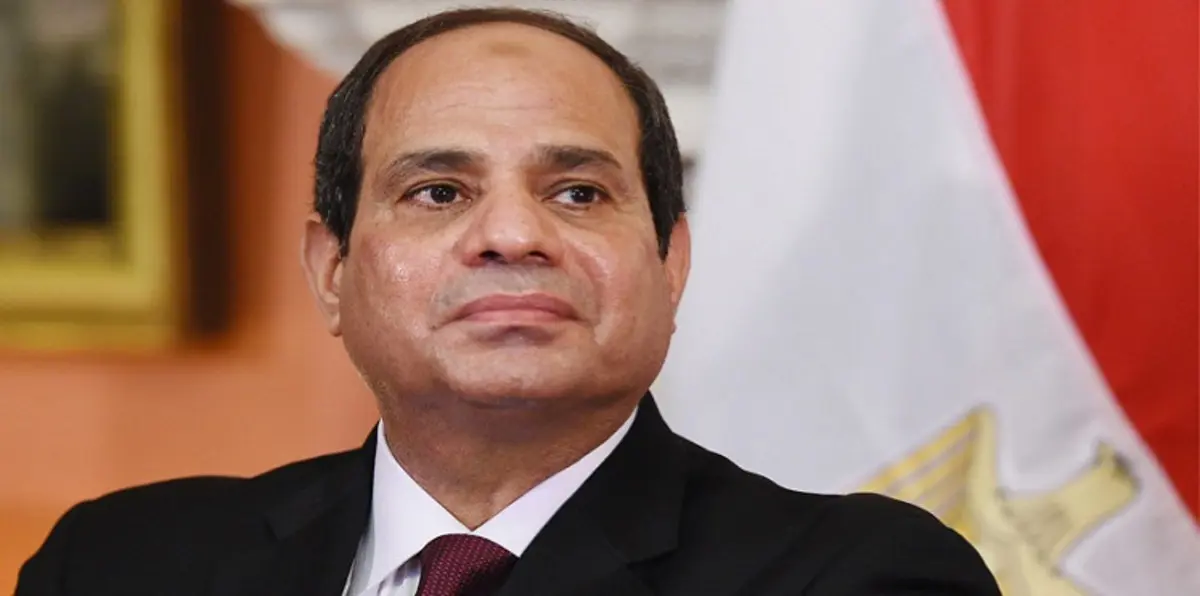 السيسي يوبّخ وزيرين من الحكومة المصرية بسبب "فتاة العربة" والخطاب النخبوي