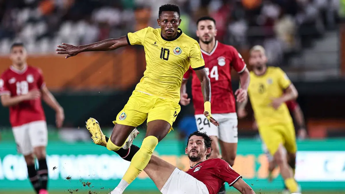 مصر والجزائر وتونس.. عمالقة كأس أفريقيا يسقطون من البرج العاجي
