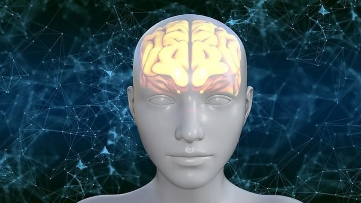 تفوق المتوقع.. دراسة تكشف سعة تخزين الدماغ البشري