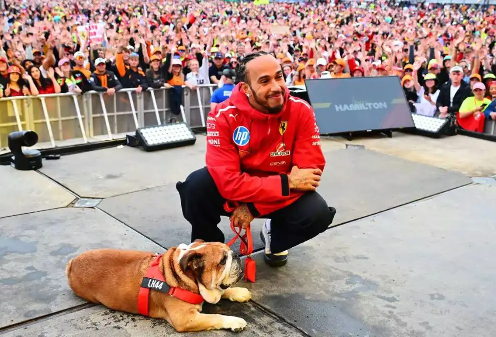 لويس هاميلتون وكلبه روسكو