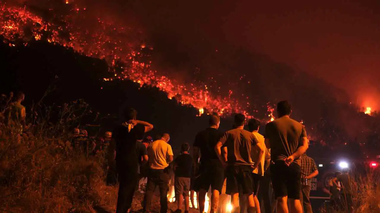 اعتقال 168 شخصًا أشعلوا النيران بغابات تركيا