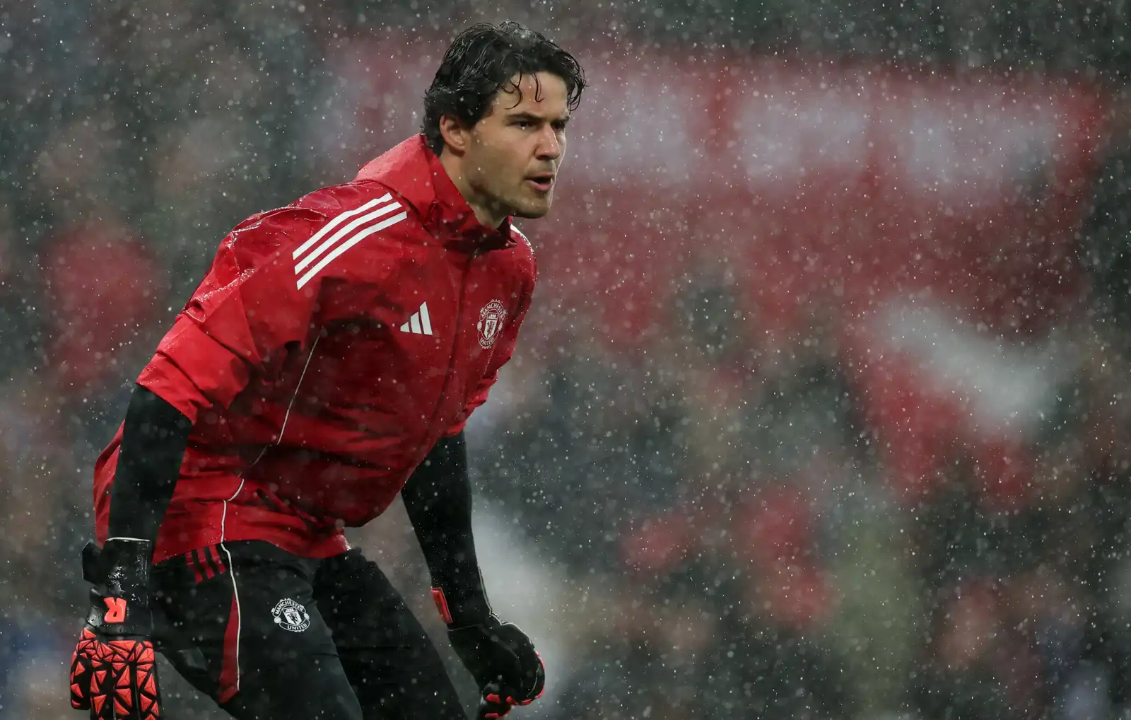 حارس المرمى سين ويليامز