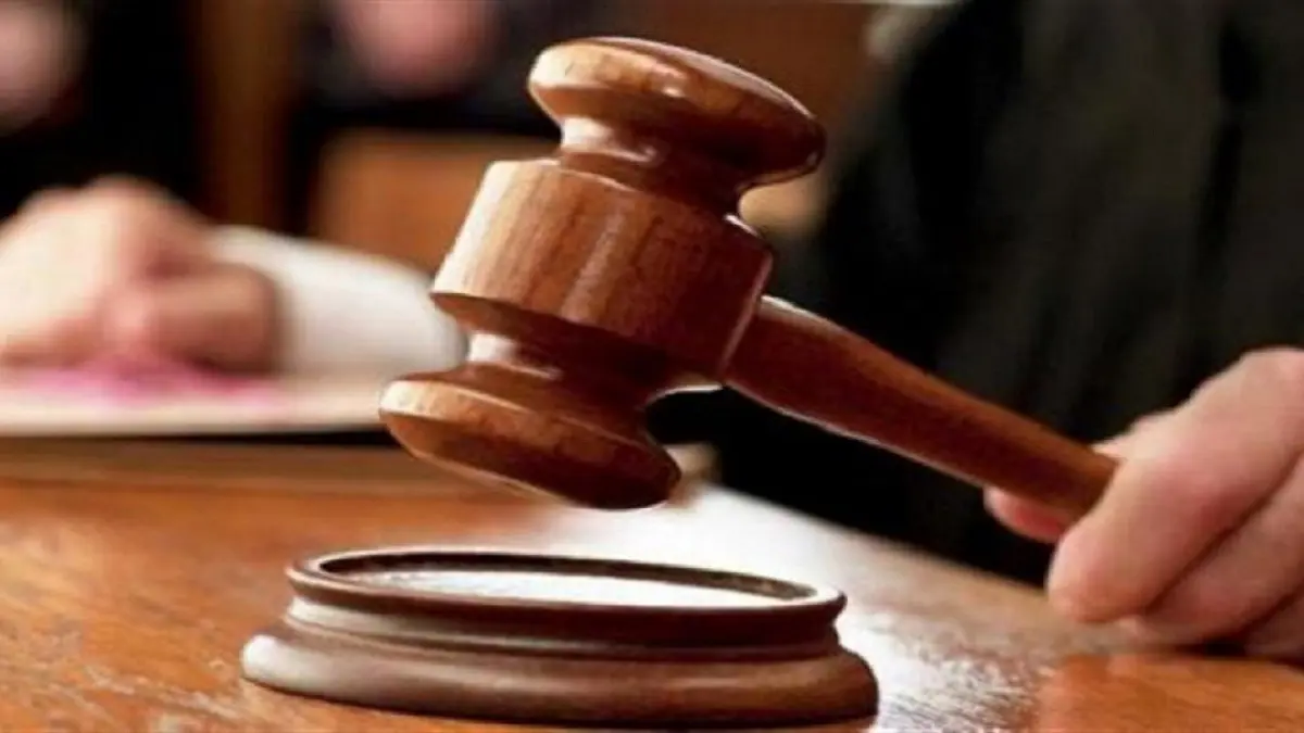 السجن 34 شهرًا لماليزي قتل قطة بآلة تجفيف الملابس