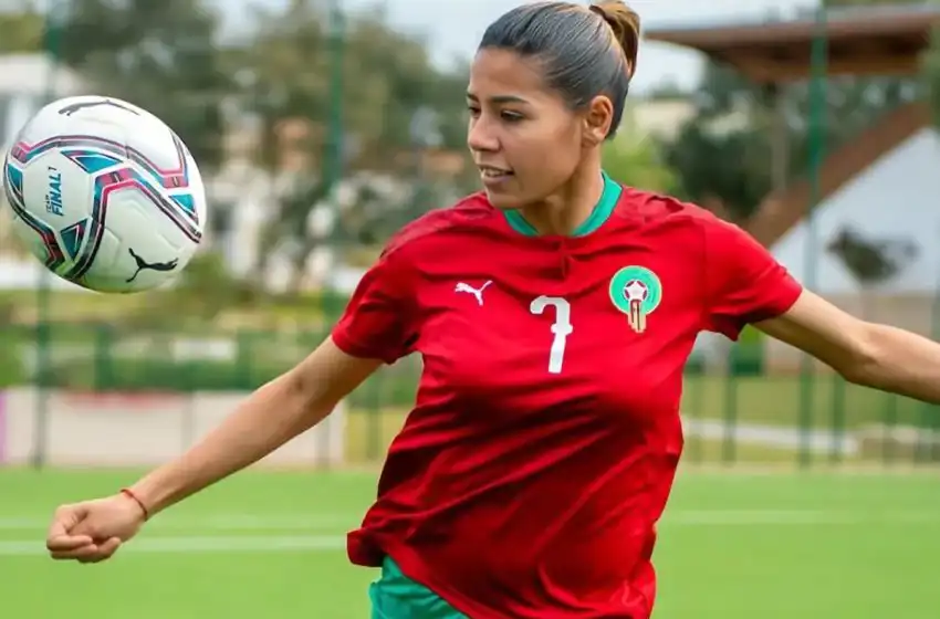 غزلان الشباك