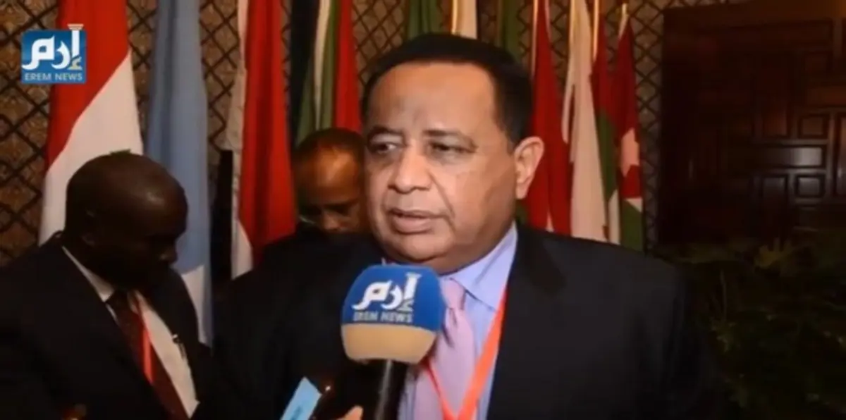 وزير الخارجية السوداني: التدخلات الخارجية تحول دون حل القضية الليبية (فيديو إرم)