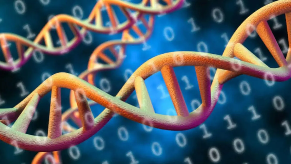 اكتشاف جديد يلقي الضوء على آلية الوراثة اللاجينية