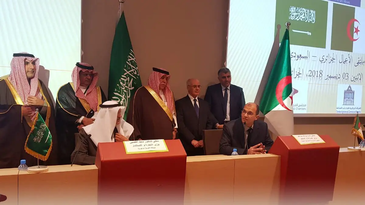 زيارة محمد بن سلمان.. الاتفاق على 5 مشاريع صناعية بين الجزائر والسعودية