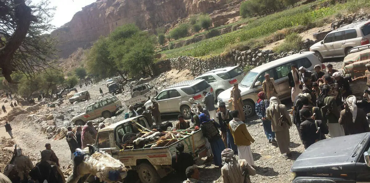 مقتل شيخ قبلي في "قضية ثأر"  في شبوة اليمنية