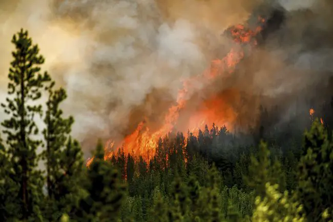 أوامر بإخلاء مدينة يلونايف الكندية بسبب حرائق الغابات 