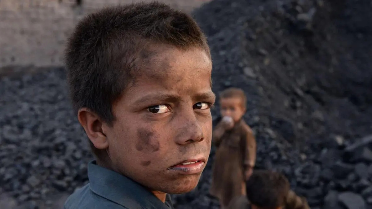 تقرير: تجارة الفحم تعزز موارد طالبان في ظل أزمة الطاقة العالمية