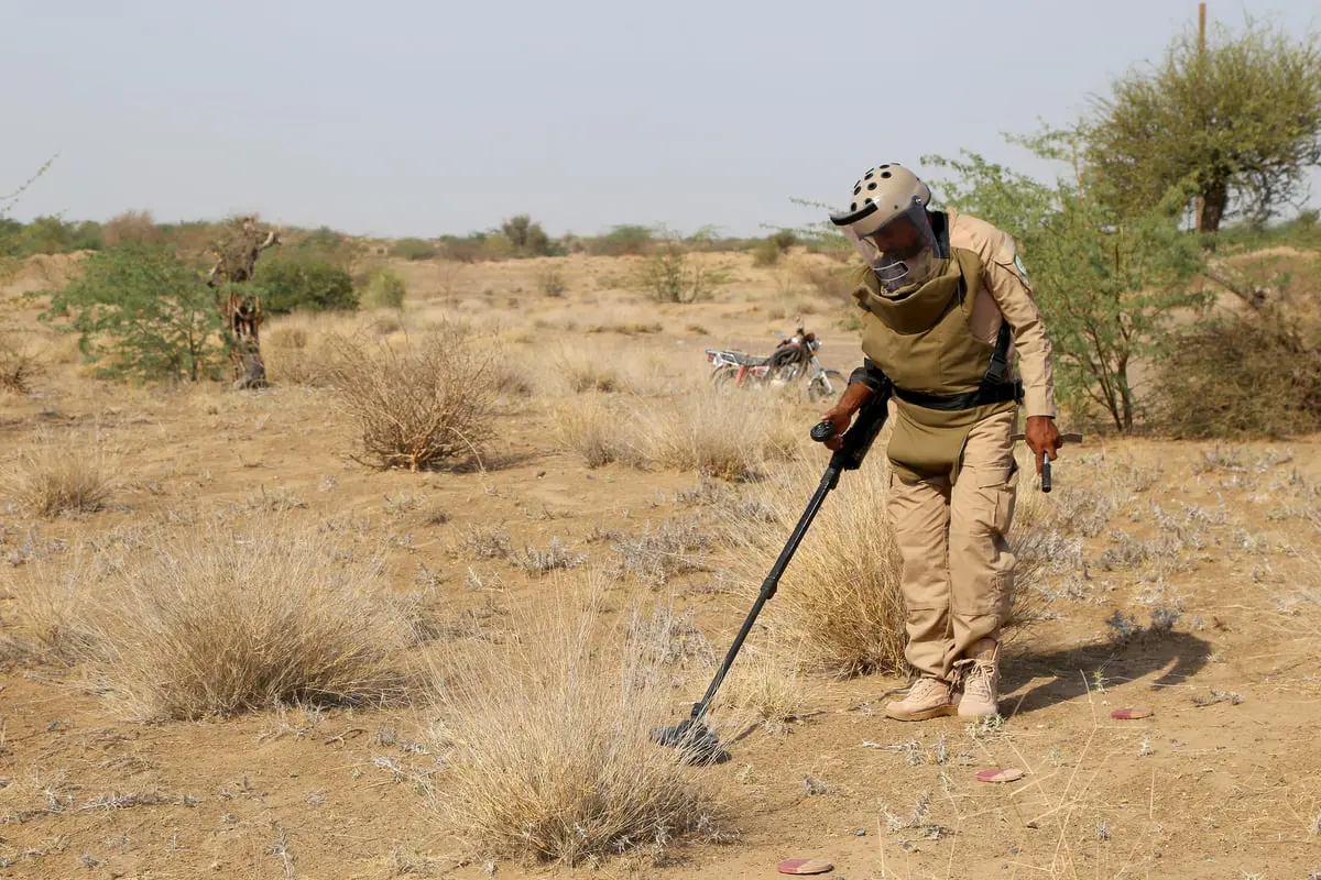 اليمن.. منظمة تحذر من خطر الألغام على الأمن الغذائي