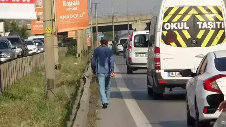 التركي الهائم 