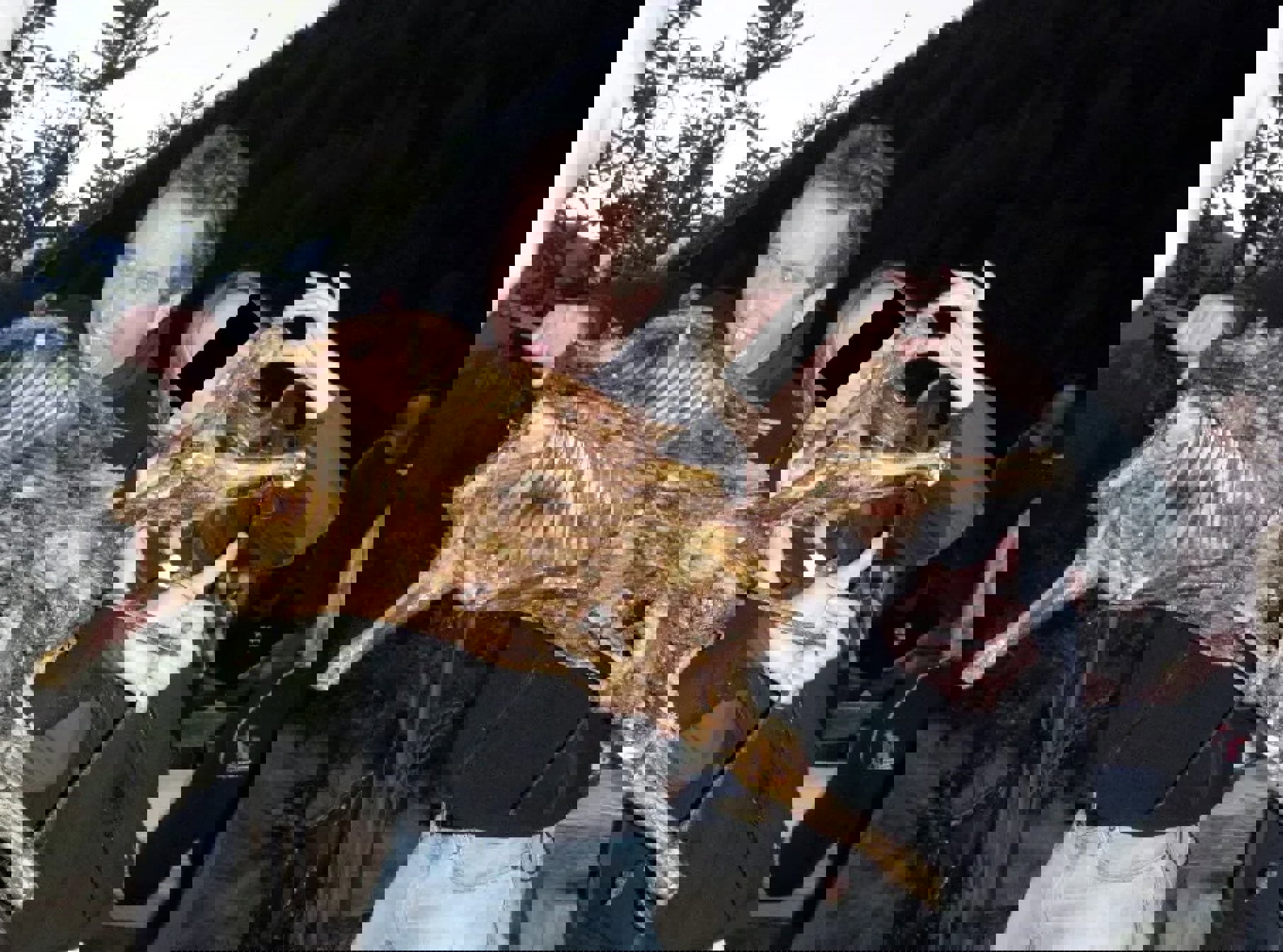 b56d49a1-53c2-41ec-bb8c-389c0f2c6023