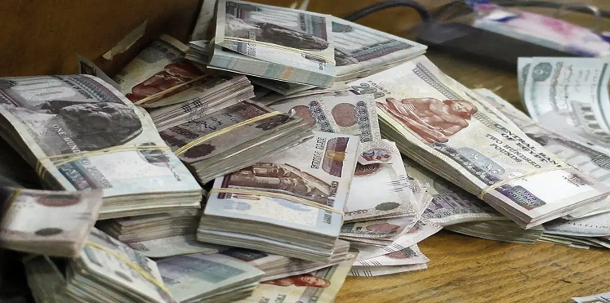 مصر.. وزير التجارة يتوقع تعويم الجنيه المصري على المدى الطويل