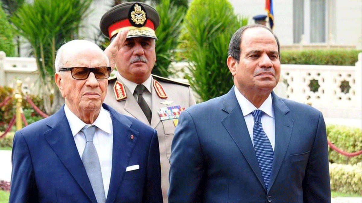اتفاق مصري تونسي على تعزيز التعاون في مواجهة "المتشددين العائدين"