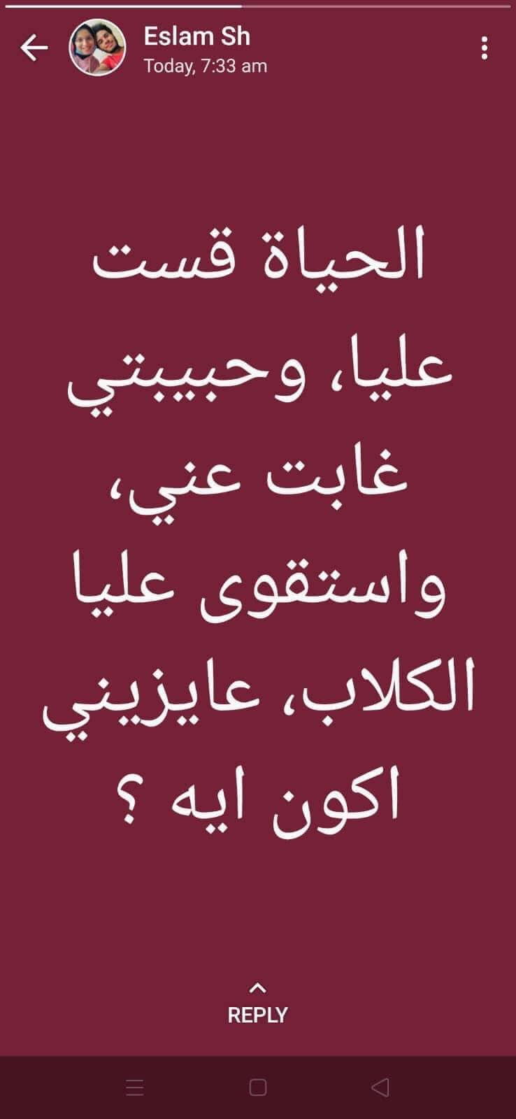 bffad72b-ae4f-4a7e-a09e-c4a58254c757