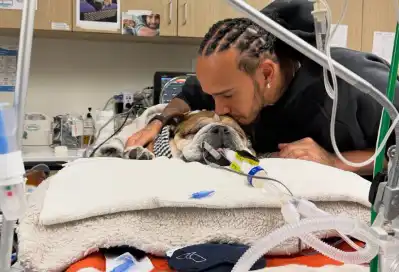 لويس هاميلتون وكلبه روسكو