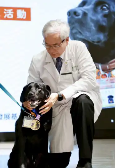 الكلب الحاصل على التكريم