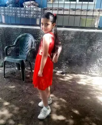 ديلان