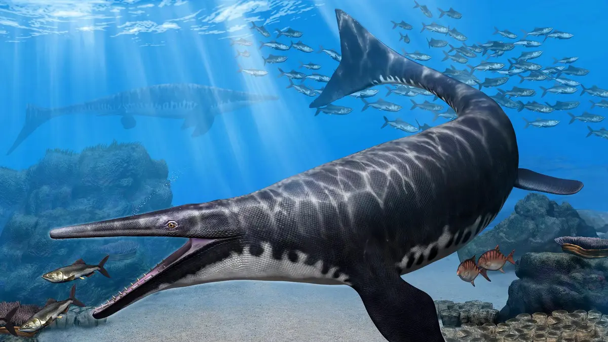 اكتشاف حفرية "موزاصور" منقرض فريدة في المغرب
