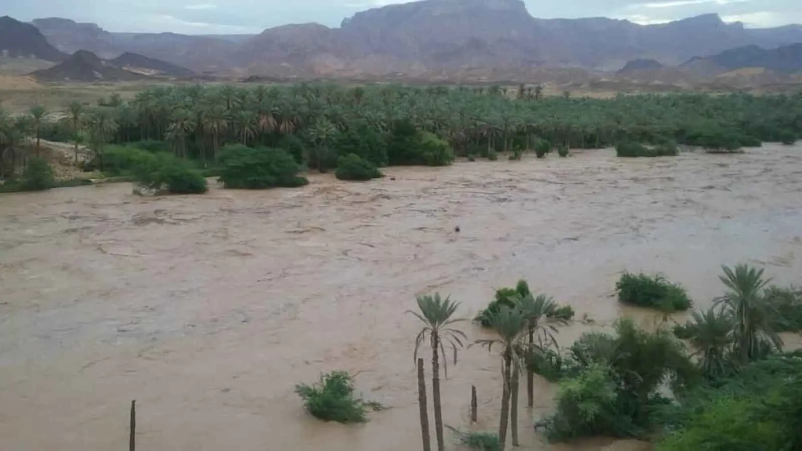 إنقاذ بطولي.. يمني ينتشل أمّاً وطفلها من قلب سيل جارف (فيديو)