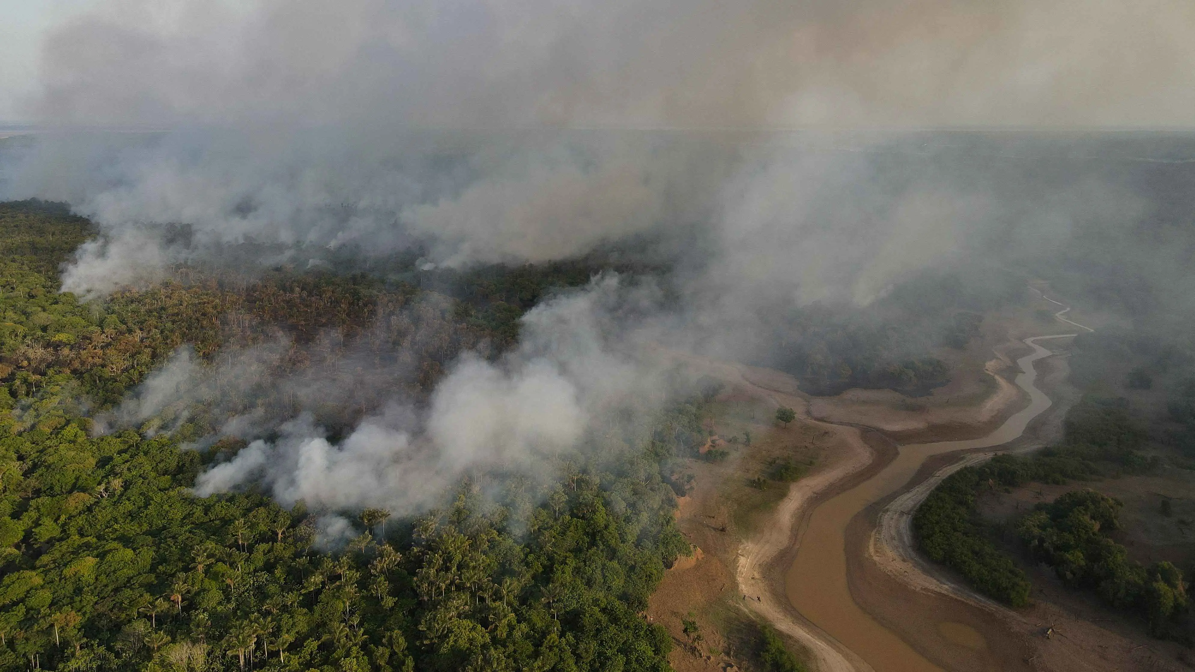 لوموند: الأمازون المطيرة تواجه أزمة حرائق غير مسبوقة