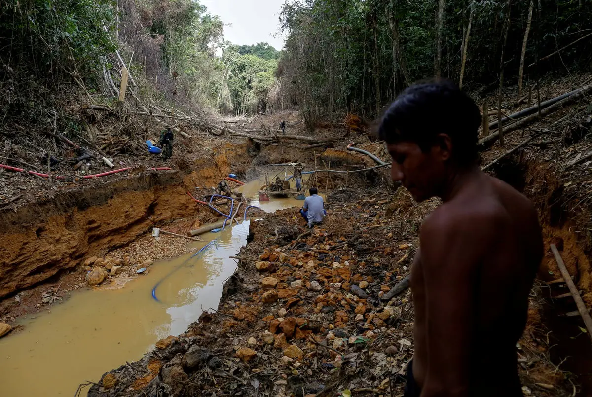 تقرير: ذهب الأمازون سرطان يصعب استئصاله في البرازيل