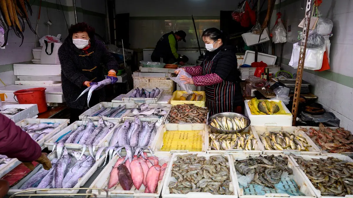 دراسة: نحو 50 ألف حيوان حي كانت مطروحة في أسواق ووهان الصينية قبل الجائحة‎